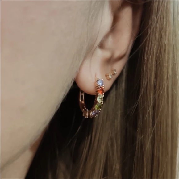 Rose Gold Multicolor Earrings - Picture 4 of 4